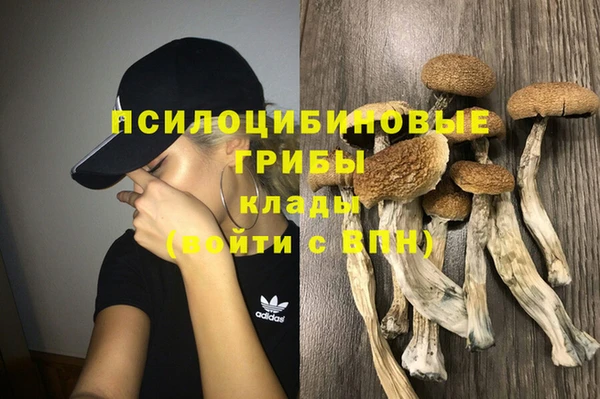 бошки Нефтегорск