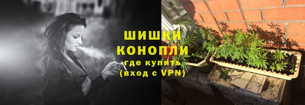 прущая мука Нея