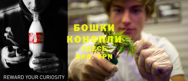прущая мука Нея