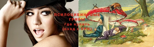 бошки Нефтегорск