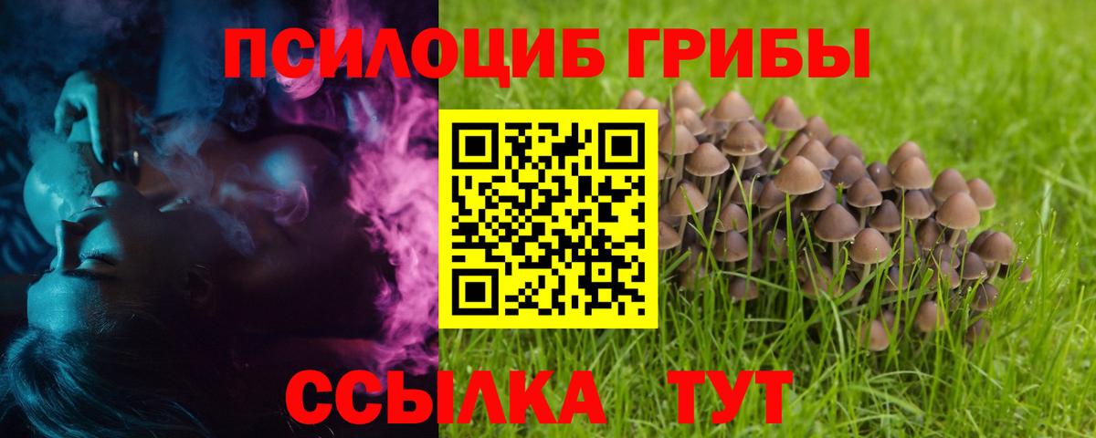 Галлюциногенные грибы Cubensis Ишим